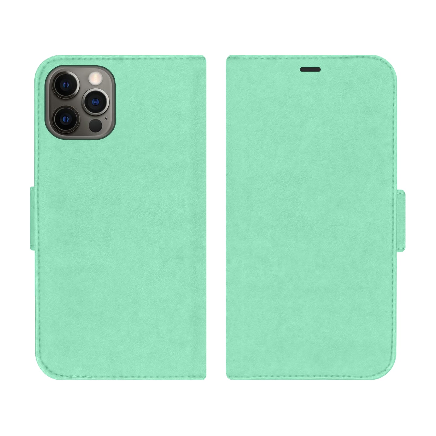 Victor Case in Mint für das iPhone 12 / 12 Pro